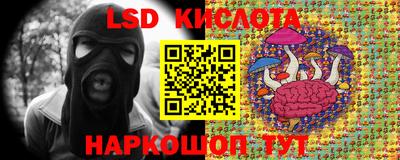 a pvp Кингисепп