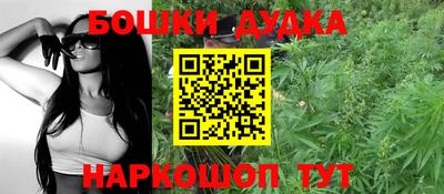a pvp Кингисепп