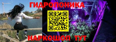 гашик Кинель