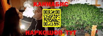 a pvp Кингисепп