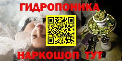apvp Кимры