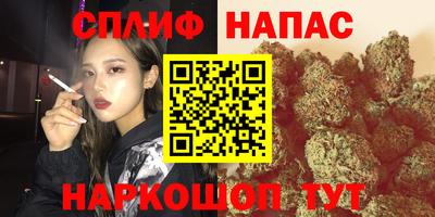 гашик Кинель