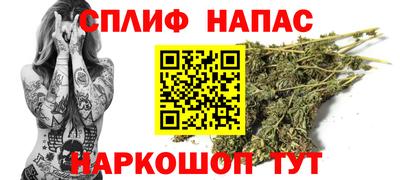a pvp Кингисепп