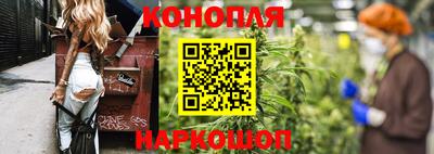 a pvp Кингисепп