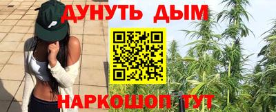 a pvp Кингисепп