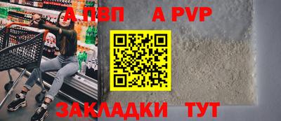a pvp Кингисепп