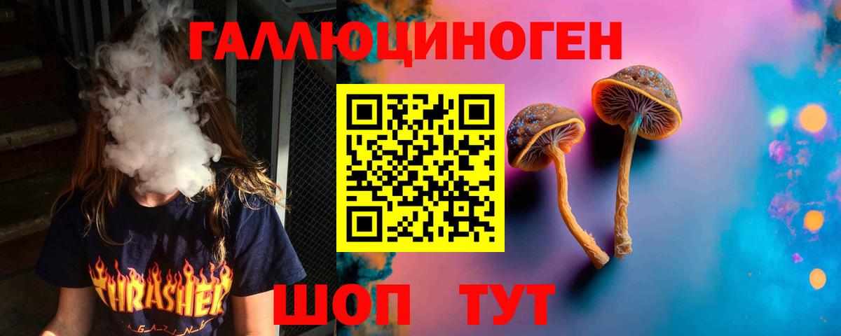 Комсомольск-на-Амуре  Псилоцибиновые грибы Psilocybe  Галлюциногенные грибы прущие грибы  Вход с VPN 